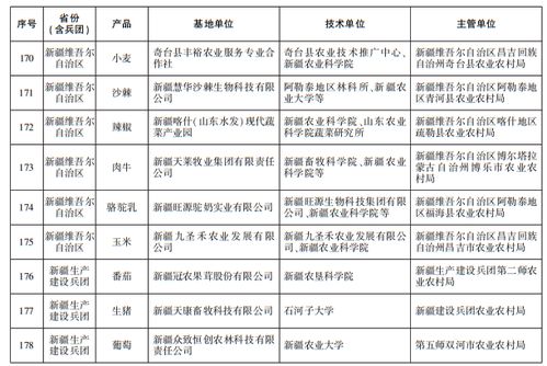 新疆及兵團9家基地入選首批國家級網站建設名單