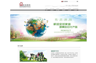 安安國際網(wǎng)站建設(shè)項目